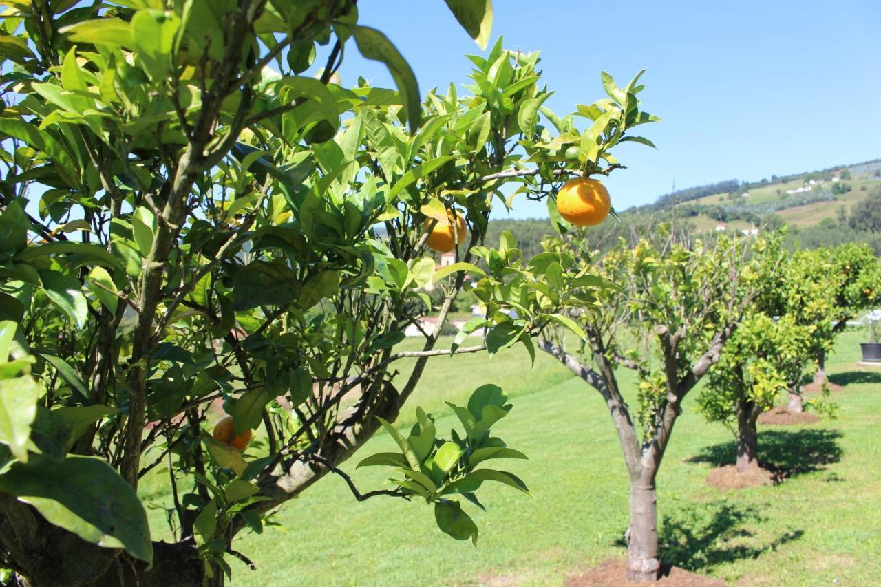 Posada El Campo Secadura Екстериор снимка