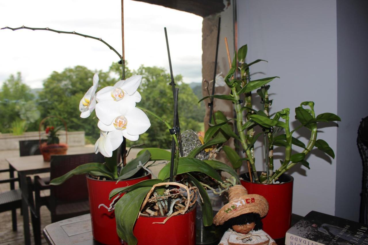 Posada El Campo Secadura Екстериор снимка