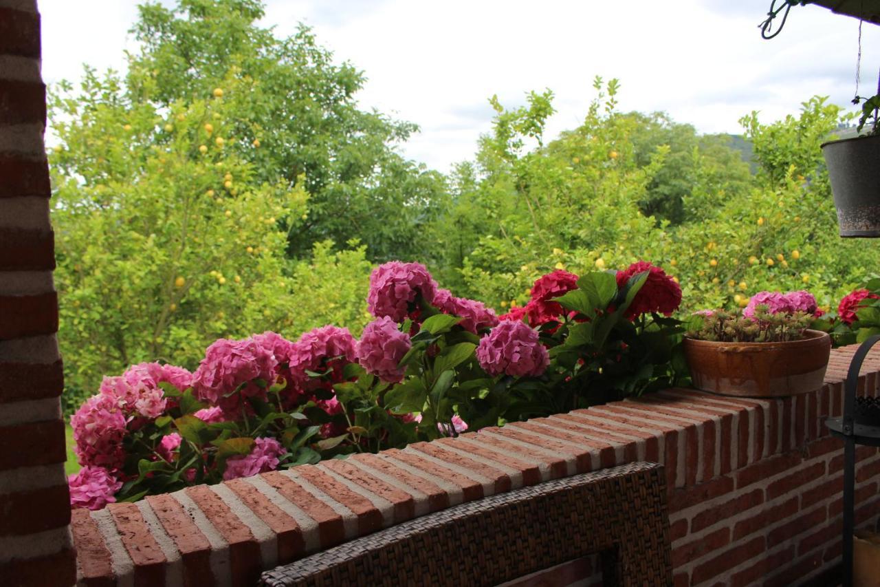 Posada El Campo Secadura Екстериор снимка